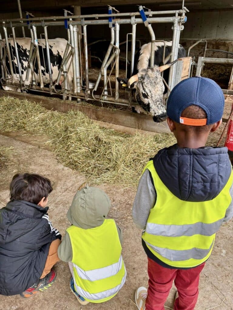 Kinder im Kuhstall