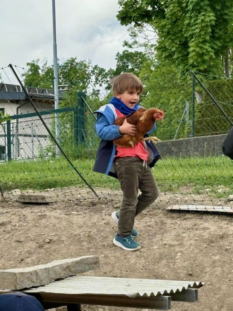 Kind fängt Henne